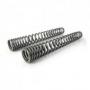 Progressive fork exchange springs, BMW F800GS up to 2012