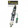 Tubo amortiguador de Touratech Suspension para BMW F800GS / F800GS Adventure a partir de 2013 Modelo Inline Extreme