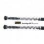 Touratech Suspension Cartridge Kit Extreme para BMW F800 GS a partir del 2013