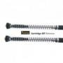 Touratech Suspension Cartridge Kit Extreme for BMW F800 GS Adventure from 2013 onwards