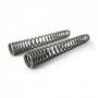 Progressive fork springs for BMW F800GS / Adventure since 2013 lower suspension adjustment by 50mm