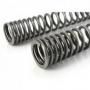 Black-T progressive interchange springs for fork and shock tube, BMW RnineT Scrambler/UrbanG/S ab 2015