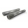 Progressive fork springs for BMW R 80 G/S