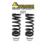 Progressive interchange springs for front and rear shock absorber tube BMW R1150GS 1999-2003