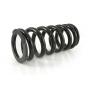 Progressive exchange springs for fork and shock absorber tube, Tiger 800 XR / XRt / XRx 2016-2017