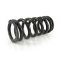 Black-T Stage1 Replacement Progressive Fork and Shock Springs for BMW R18 (2020-)