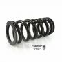 BLACK-T Stage1 progressive replacement spring for shock absorber suitable for INDIAN FTR 1200 / FTR 1200 S (2019-2021)