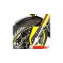 Carbon front fender for BMW F800R (2015- )