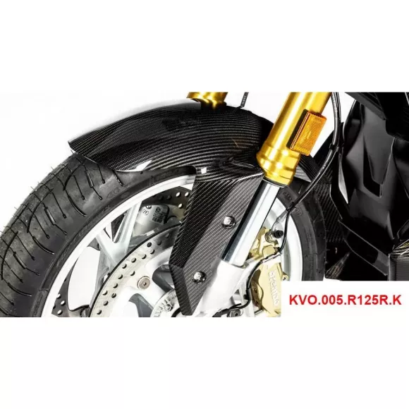 Carbon fiber front fender for BMW R1250RS