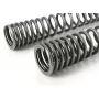 Fork Springs and Shock Absorber Set from Touratech Suspension for KTM 790 Adventure / R